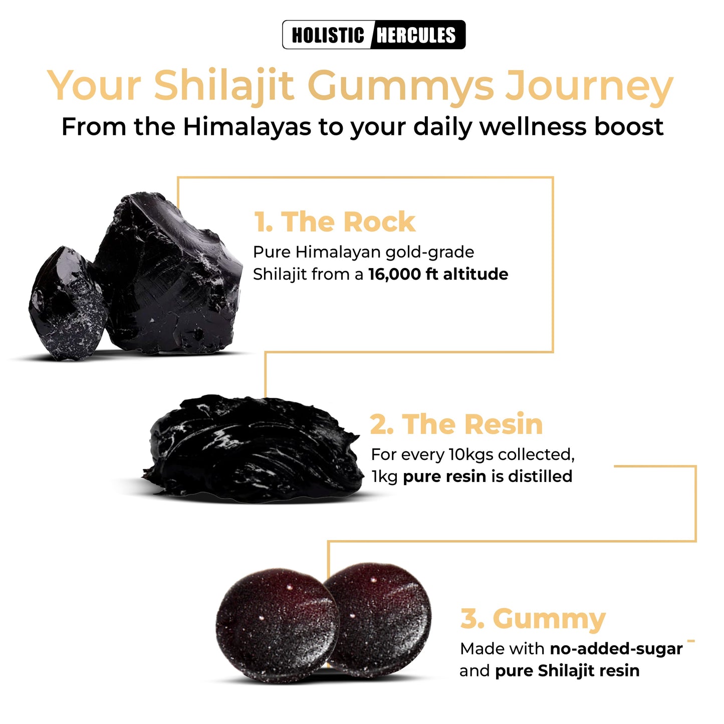 Hercules Shilajit & Sea Moss Gummies Bundle (Subscription)